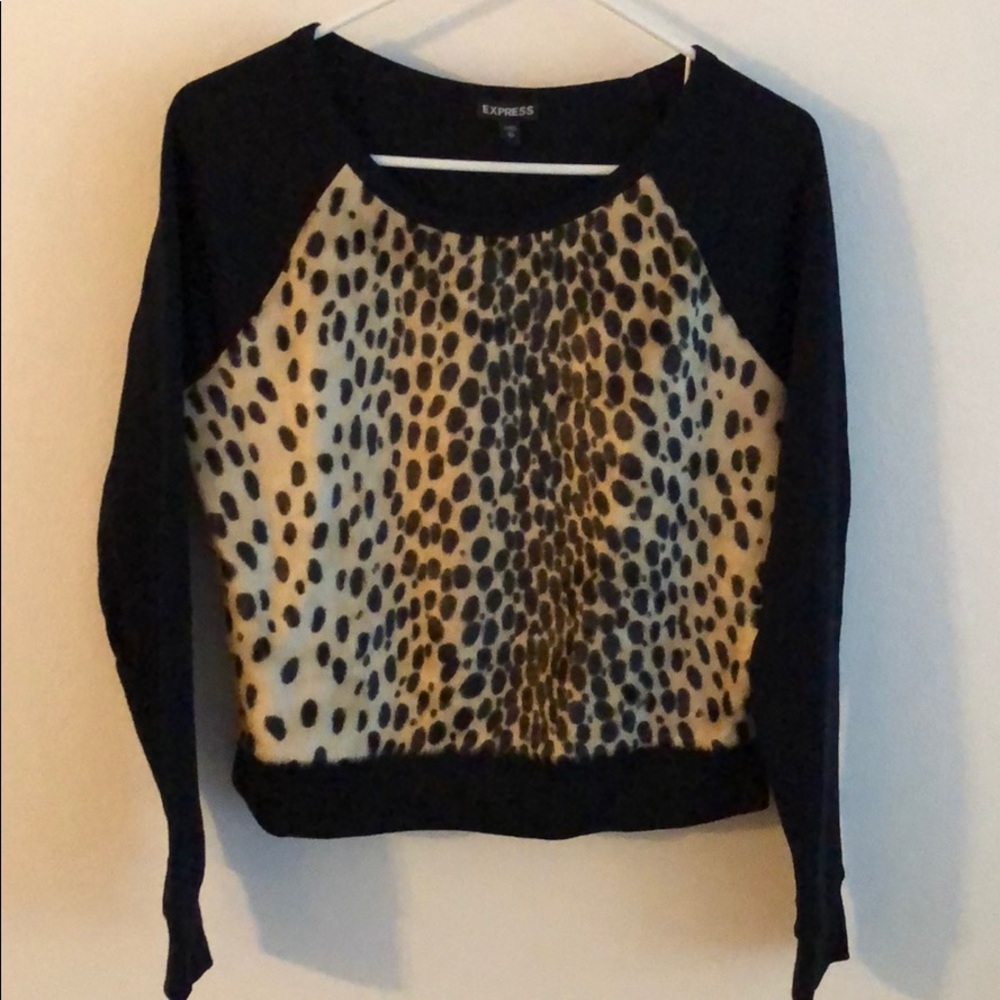 Express Leopard Sweater